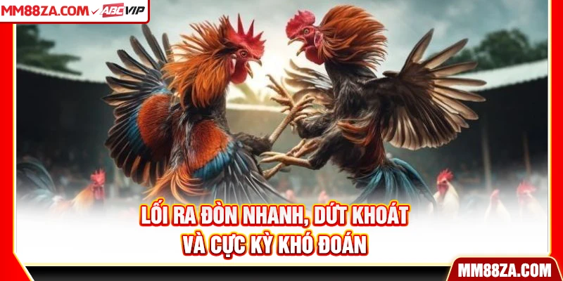 Lối ra đòn nhanh, dứt khoát và cực kỳ khó đoán