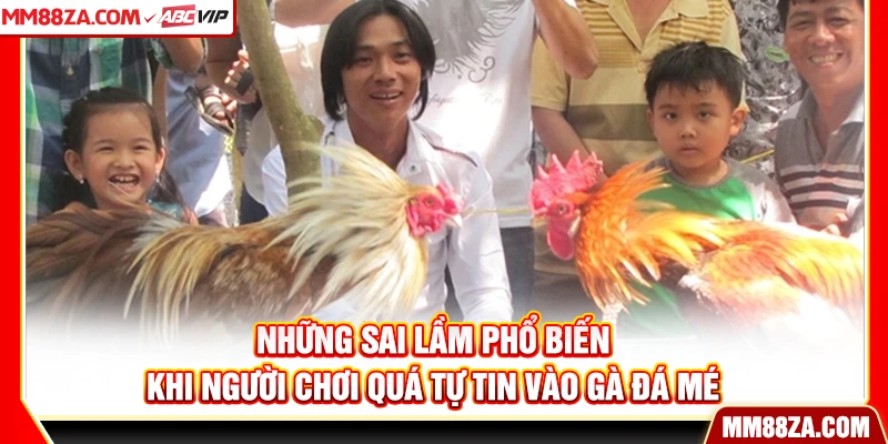 Những sai lầm phổ biến khi người chơi quá tự tin vào gà đá mé