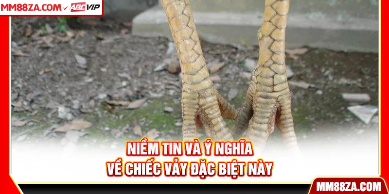 Niềm tin và ý nghĩa về chiếc vảy đặc biệt này