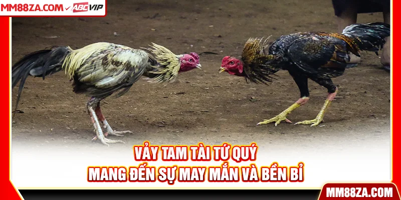Vảy tam tài tứ quý mang đến sự may mắn và bền bỉ